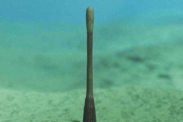 An Ancient Penis Worm With Rings of Sharp Teeth Has Been Discovered in the Grand Canyon
