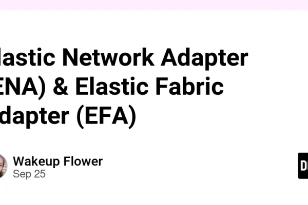 Elastic Network Adapter (ENA) & Elastic Fabric Adapter (EFA)